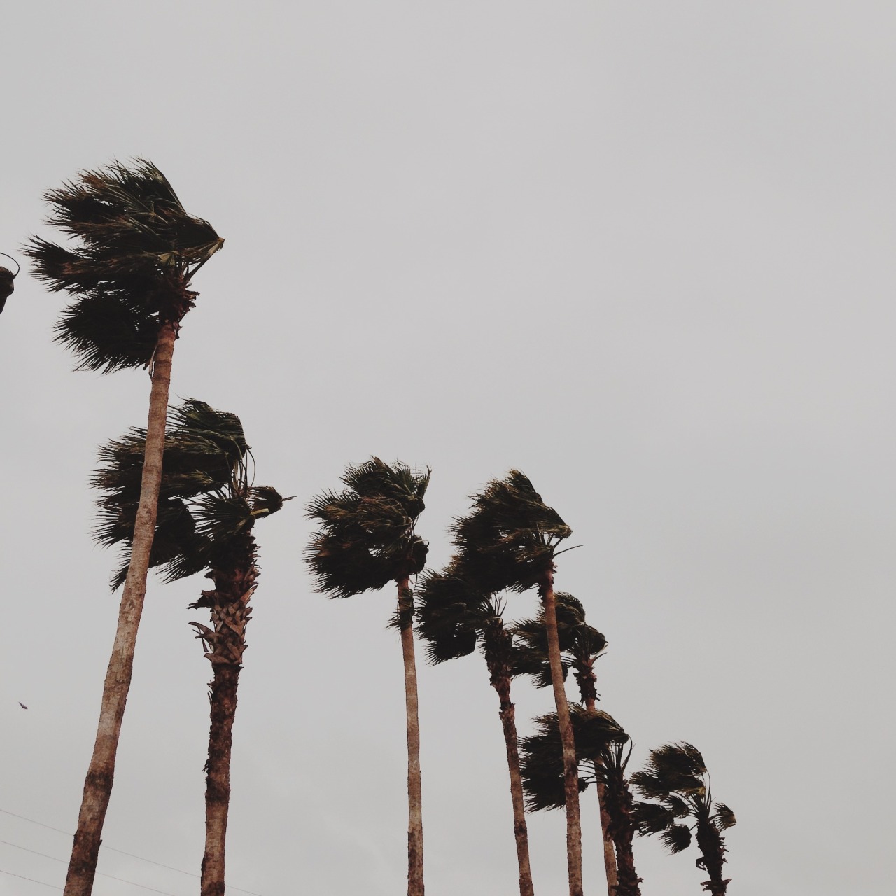 Archillect ID 407135