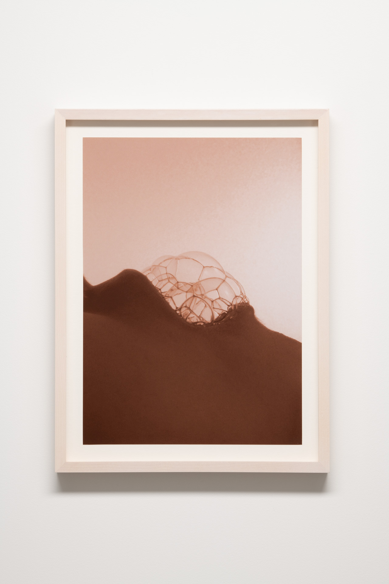 Archillect ID 407183