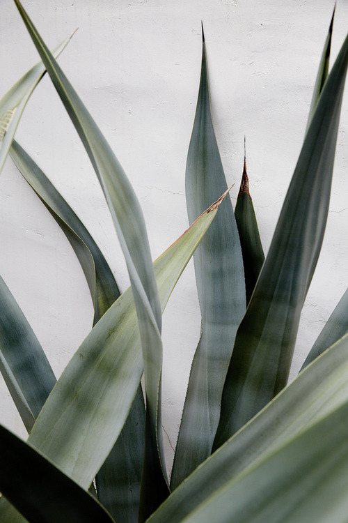 Archillect ID 407216