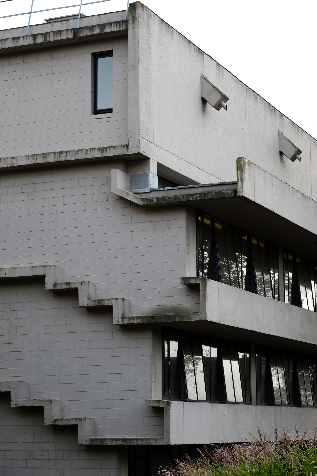 Archillect ID 407242