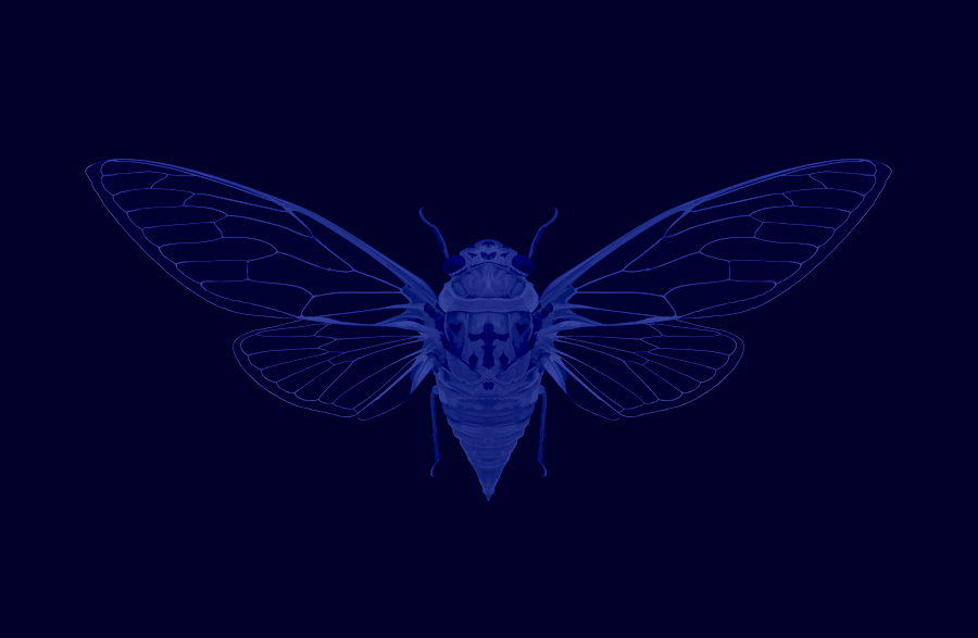 Archillect ID 407346