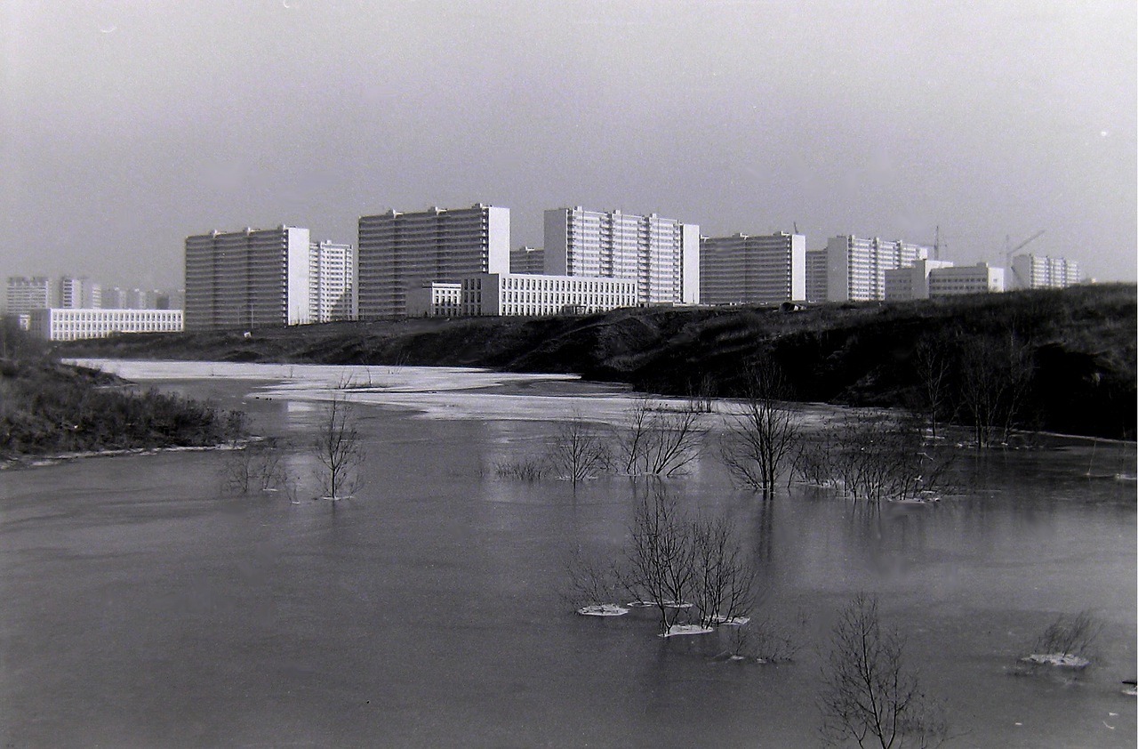 Archillect ID 407374