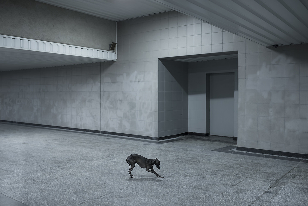 Archillect ID 407391