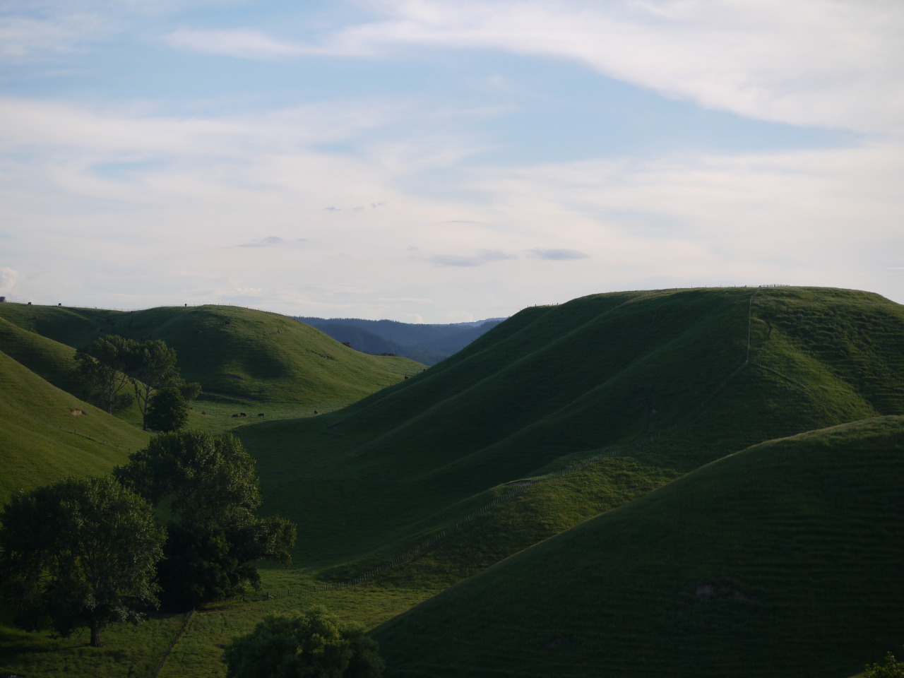 Archillect ID 407403