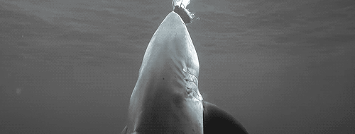 Archillect ID 407427