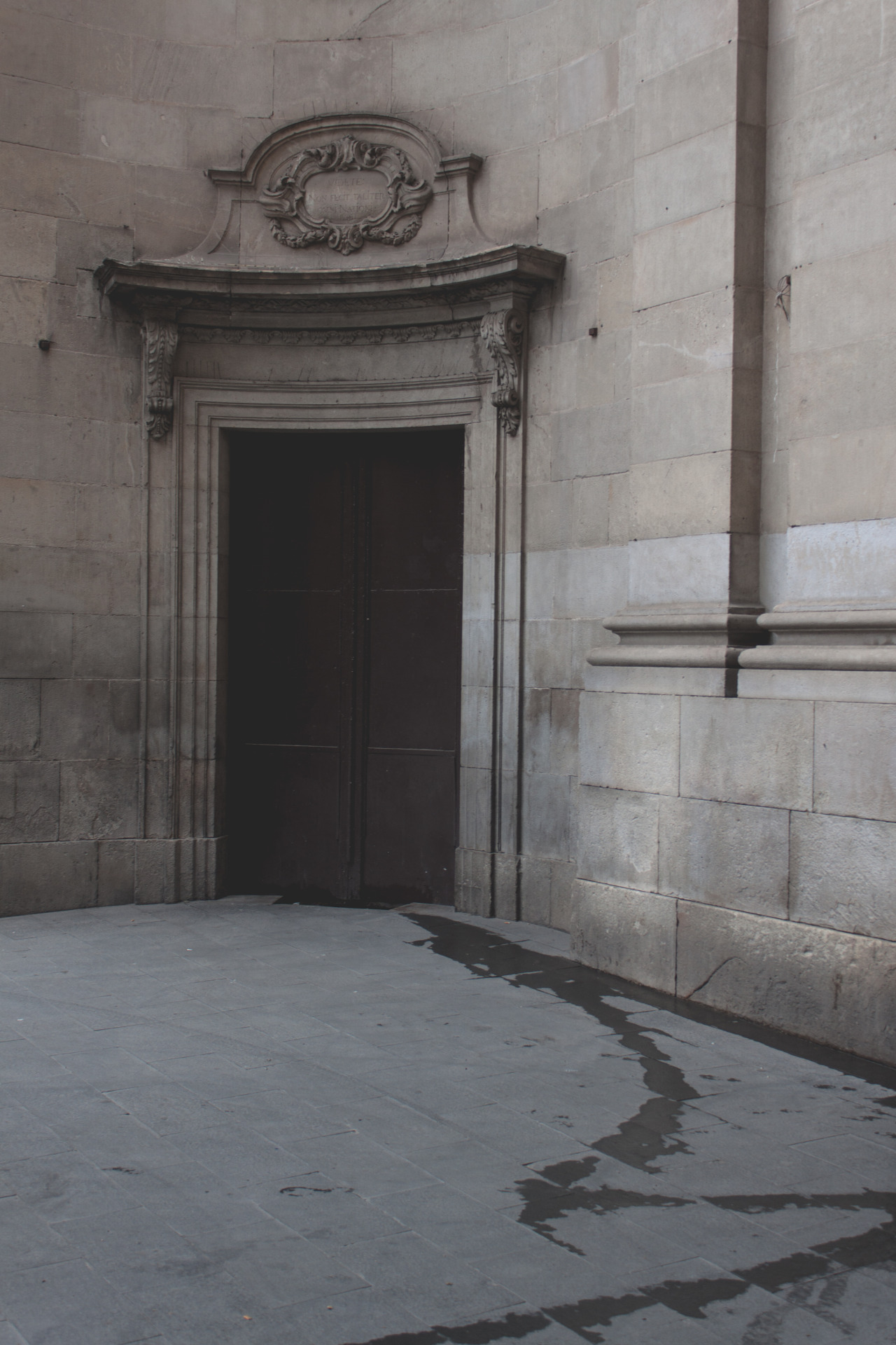 Archillect ID 407463