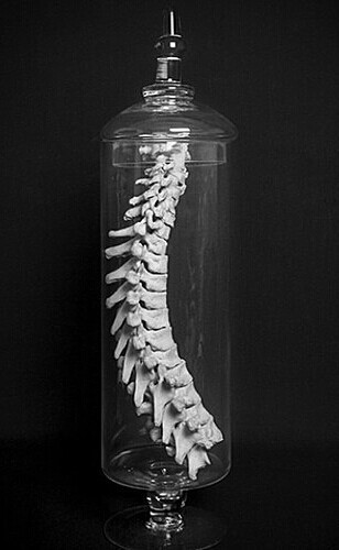 Archillect ID 407464