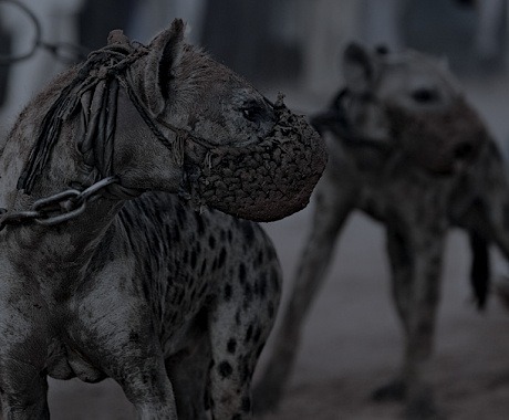 Archillect ID 407529