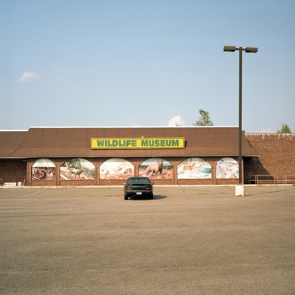 Archillect ID 407531