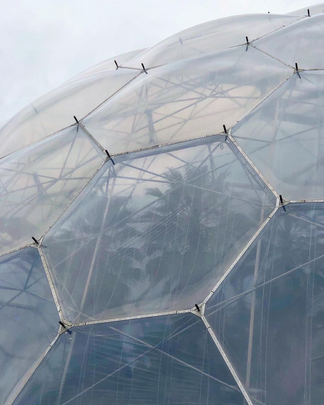 Archillect ID 407543