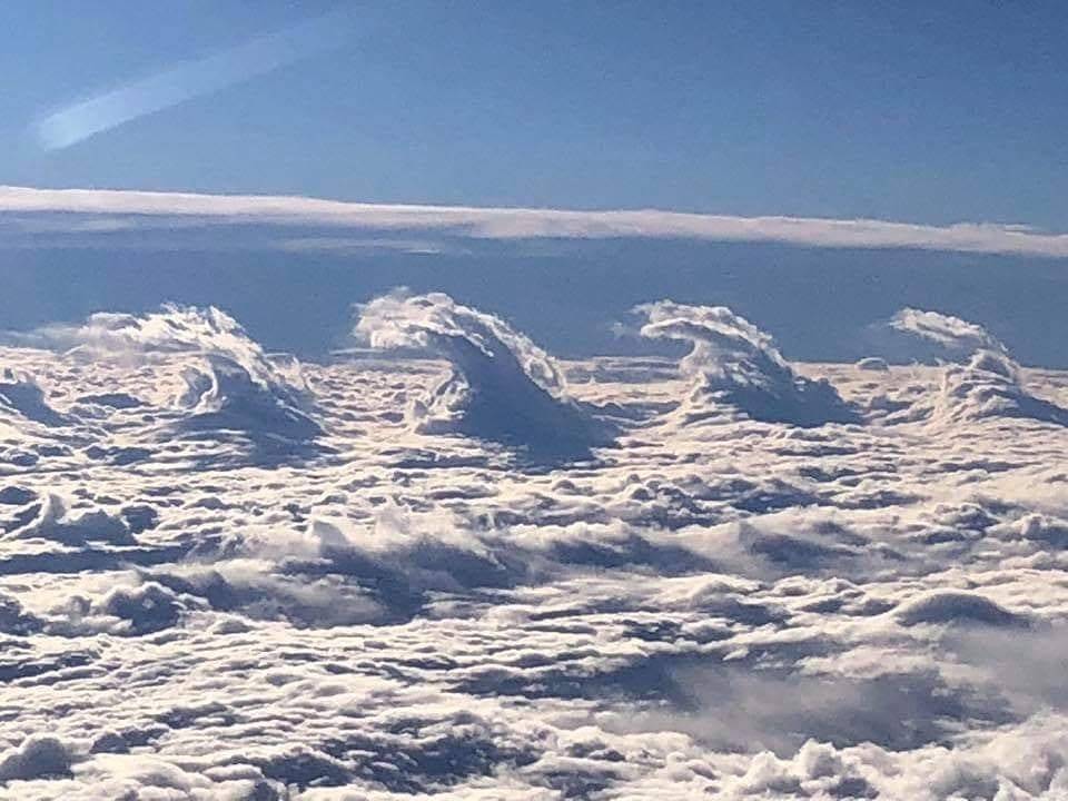 Archillect ID 407569