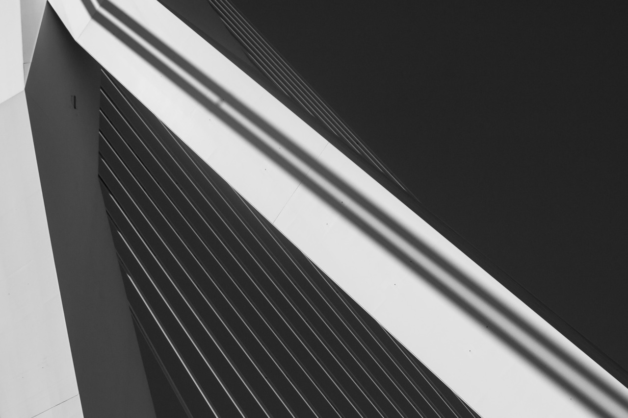 Archillect ID 407580