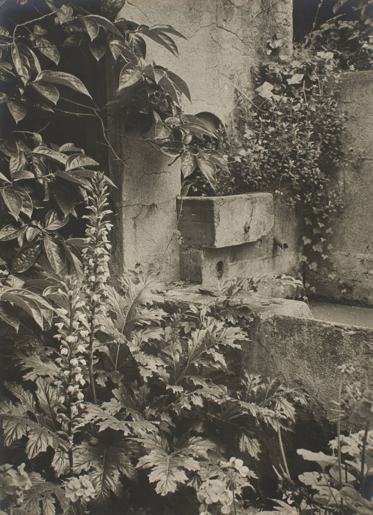 Archillect ID 407638