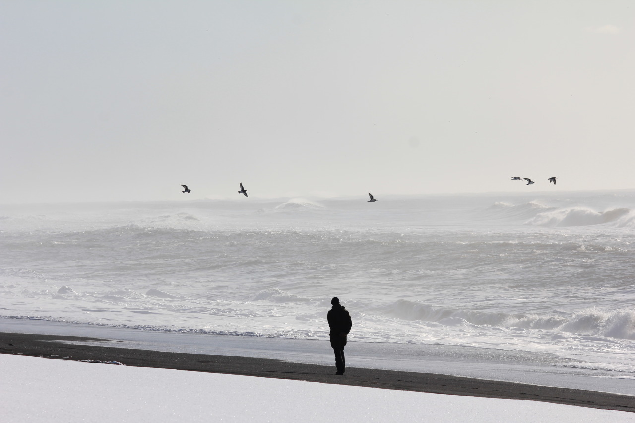 Archillect ID 407666