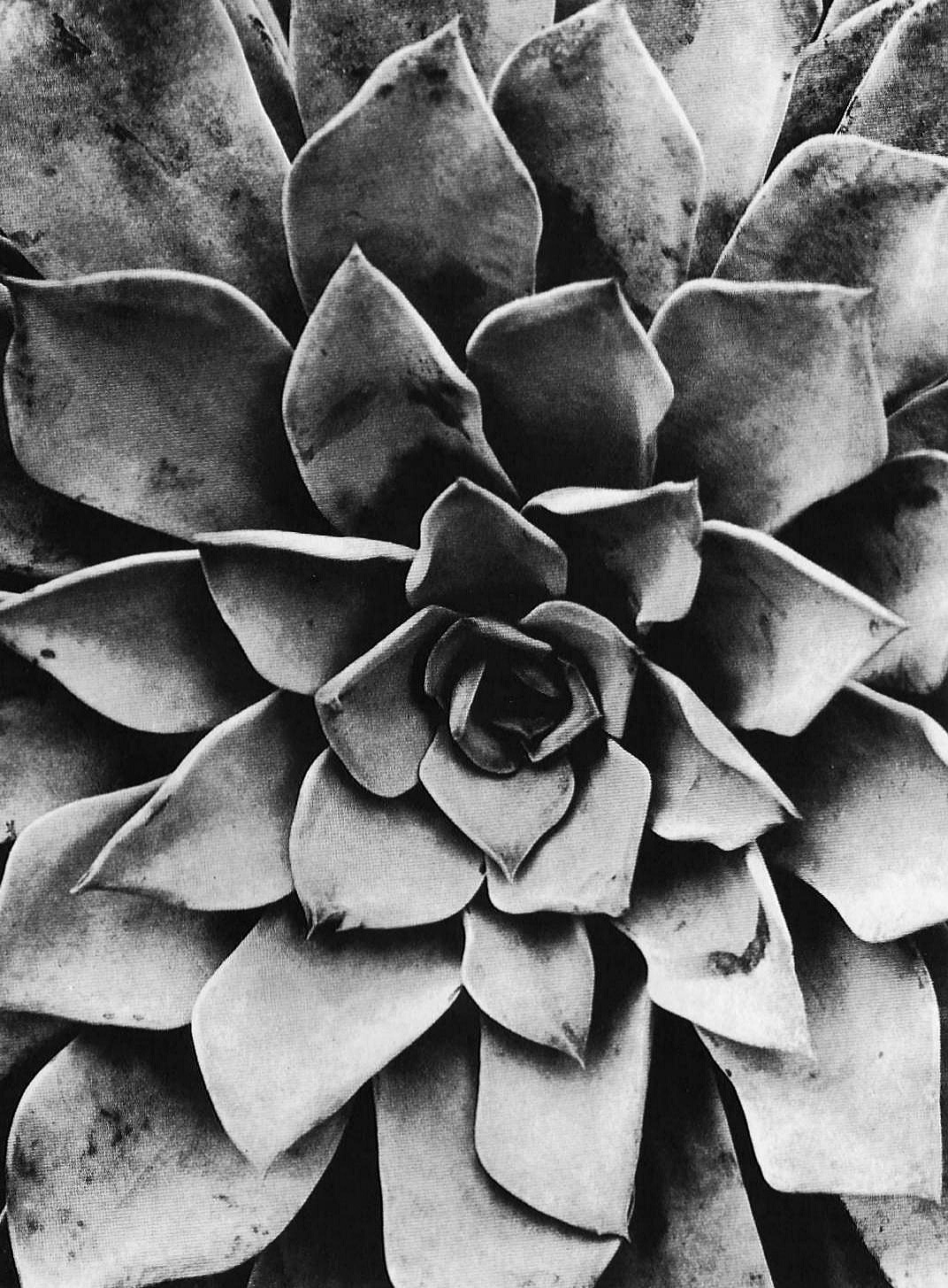 Archillect ID 407676