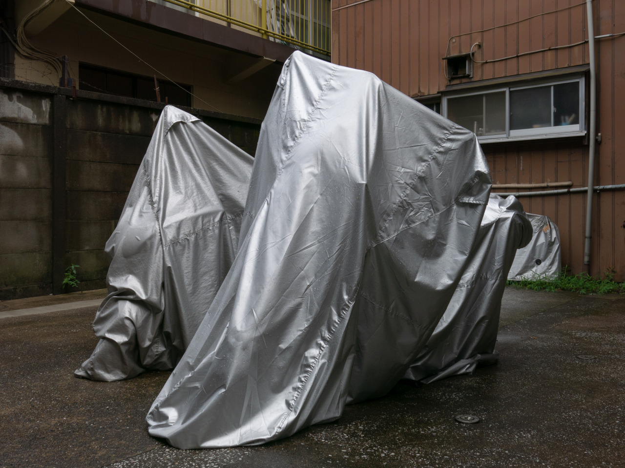 Archillect ID 407715