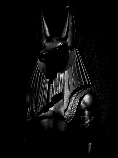 Archillect ID 407730