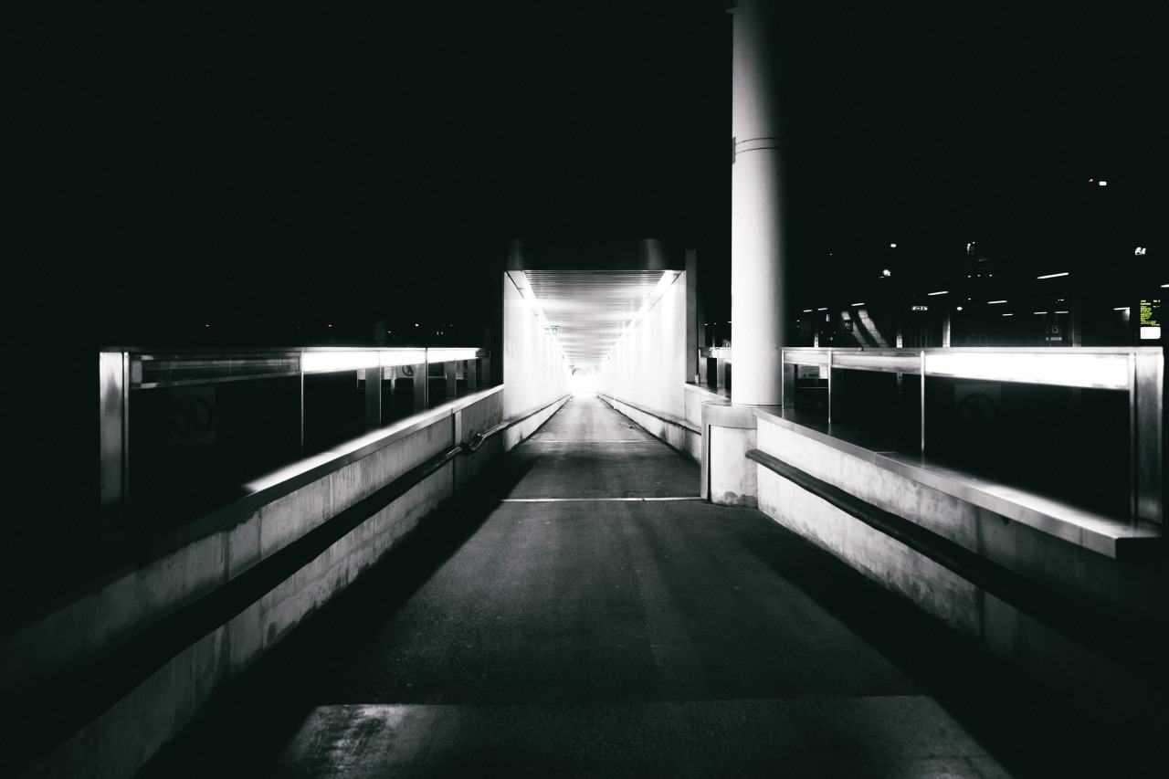 Archillect ID 407802