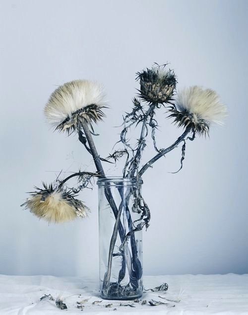 Archillect ID 407808