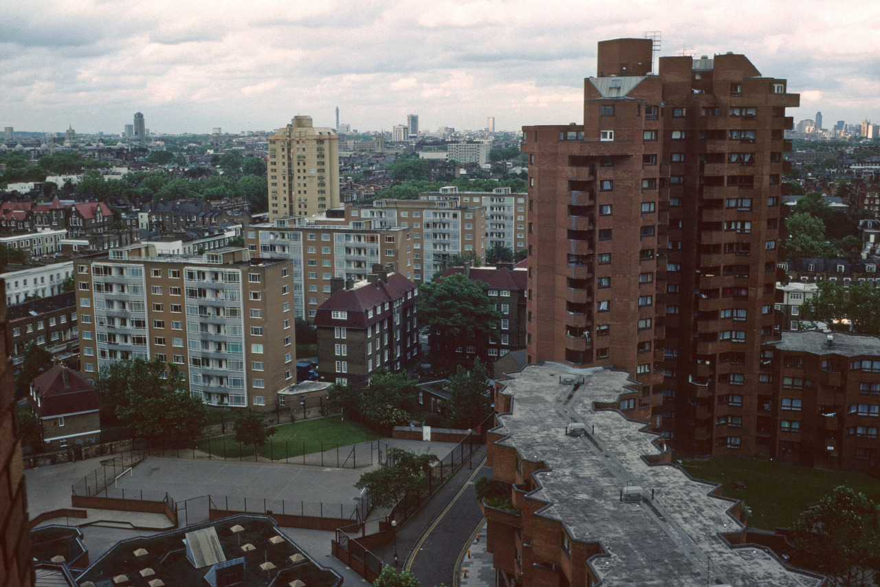 Archillect ID 407842