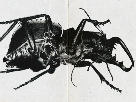 Archillect ID 407844