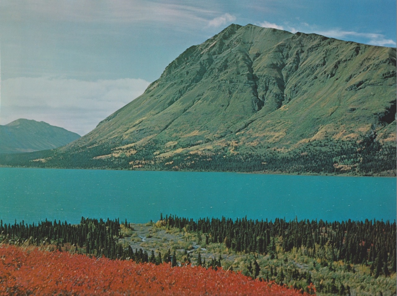 Archillect ID 407845