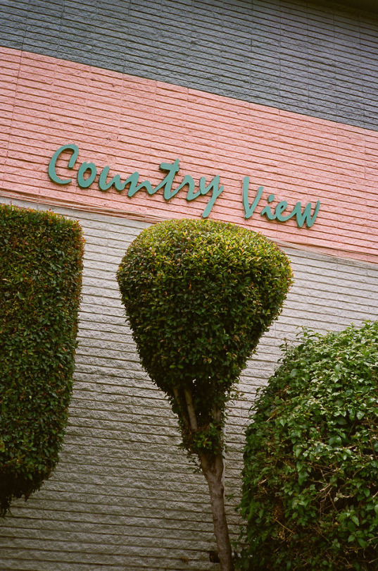 Archillect ID 407887