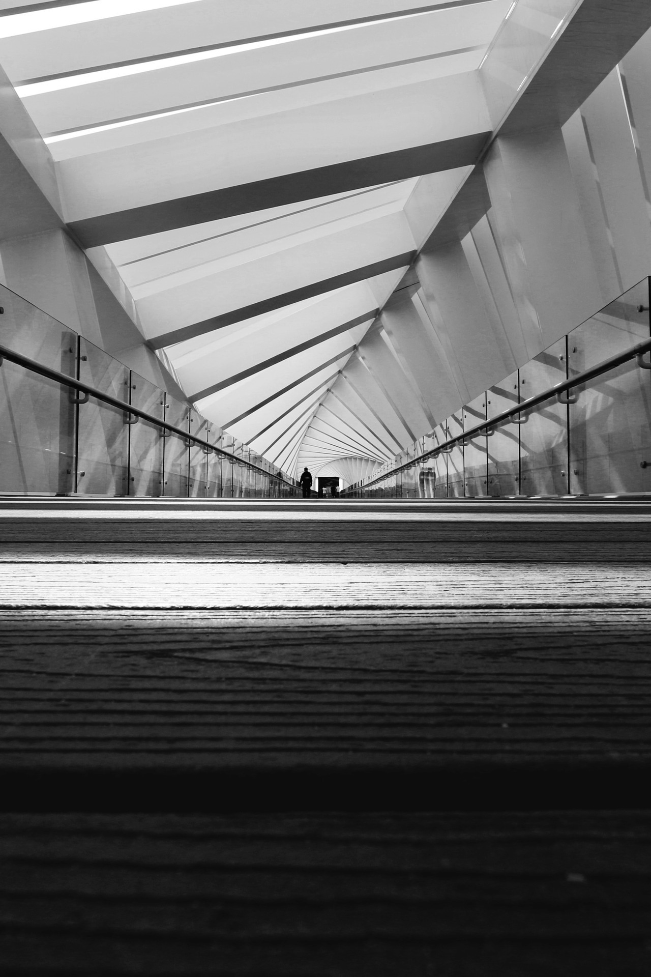 Archillect ID 407888