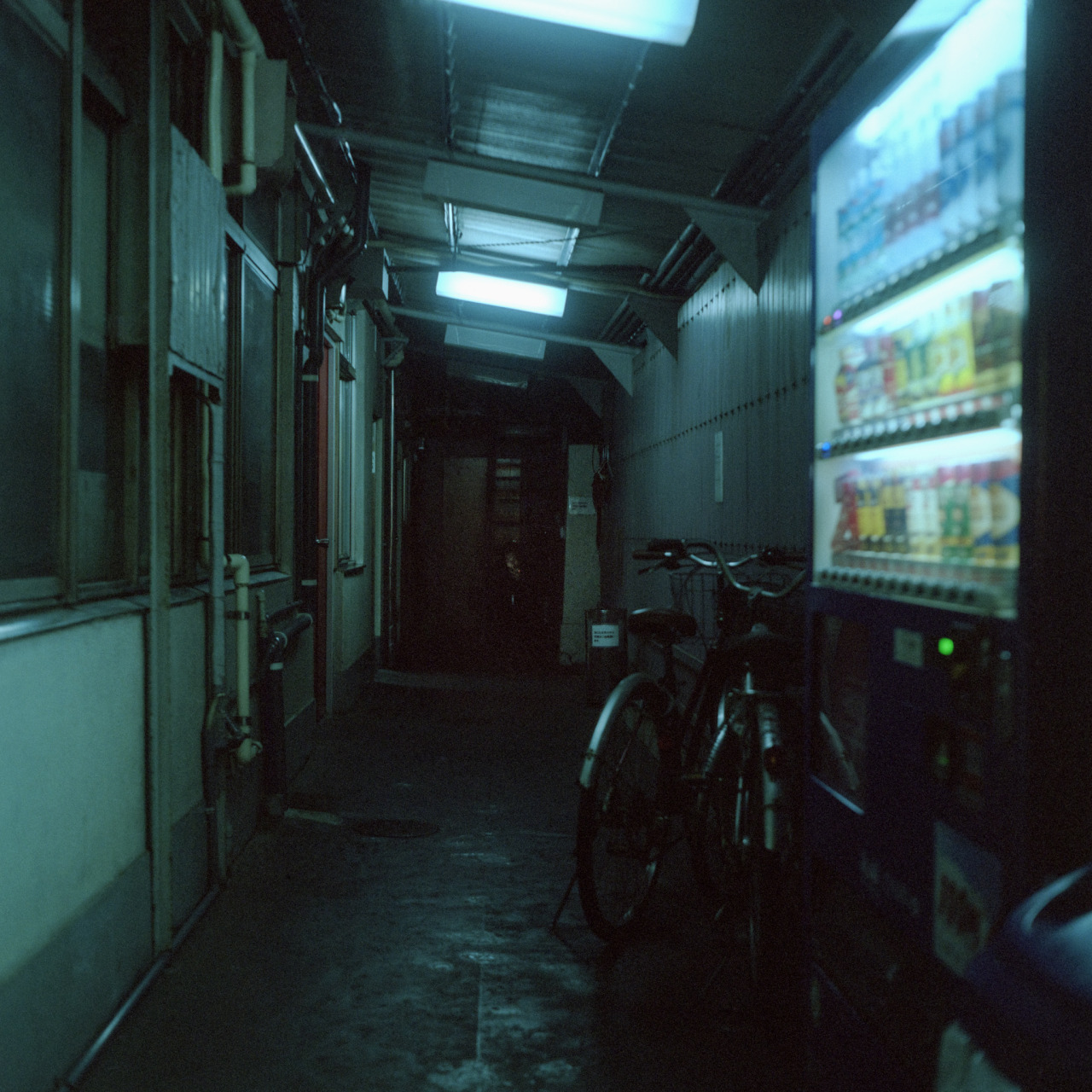 Archillect ID 407901