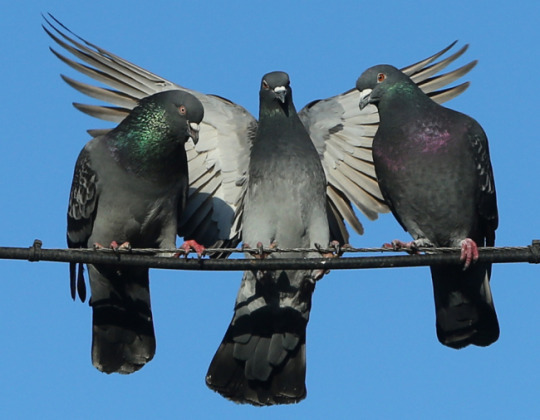 Archillect ID 407987