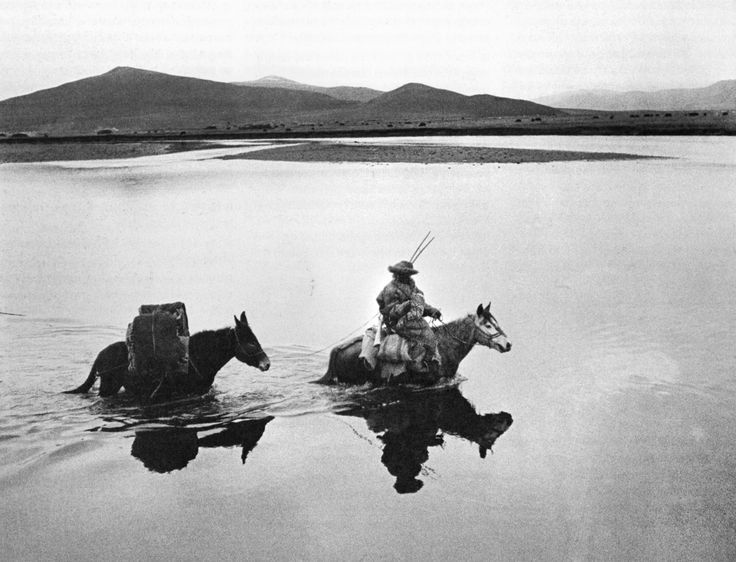 Archillect ID 407988