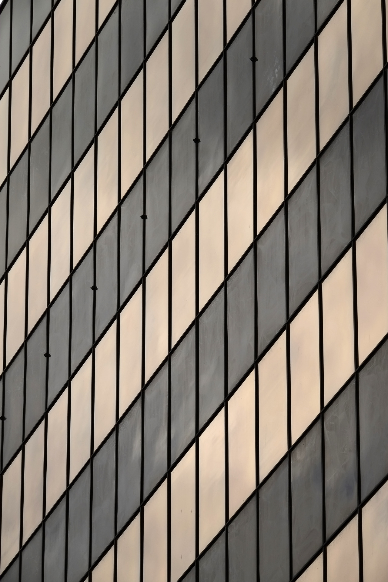 Archillect ID 407999