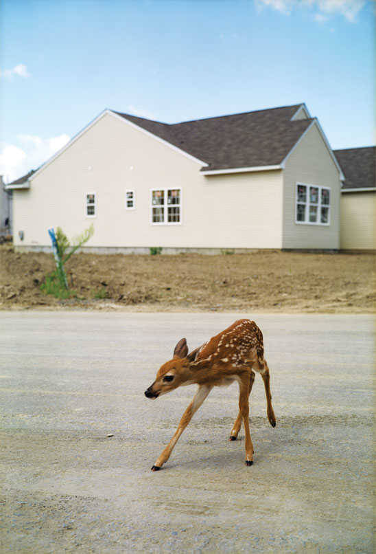 Archillect ID 408073