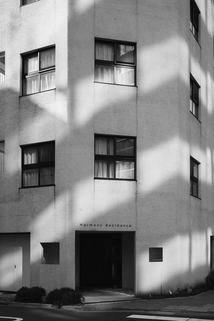 Archillect ID 408077