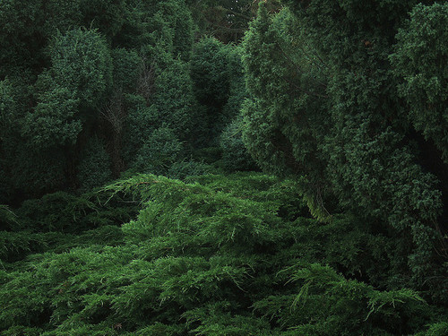 Archillect ID 408084