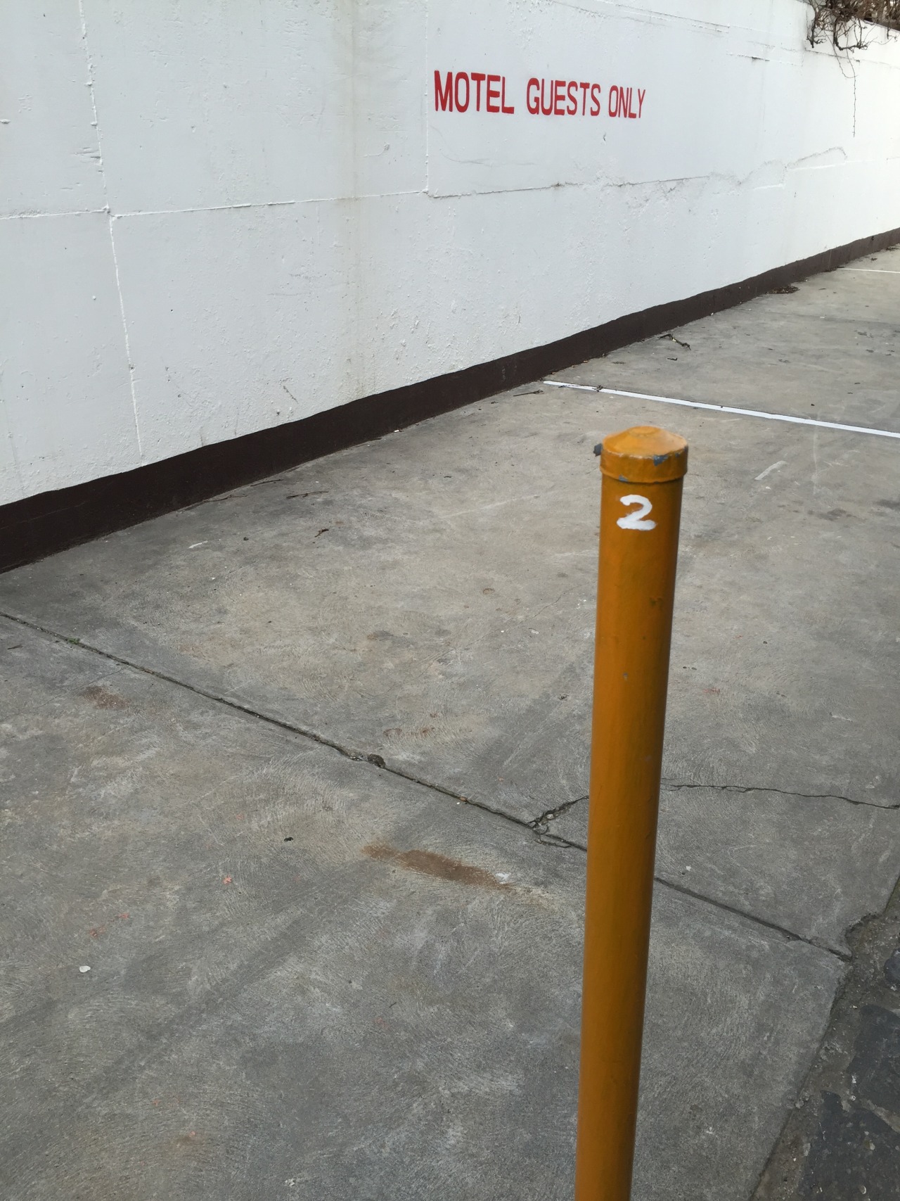 Archillect ID 408103