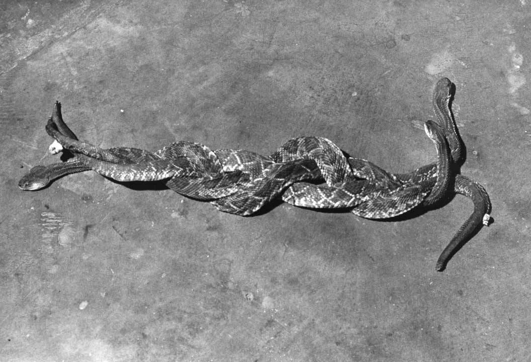 Archillect ID 408119