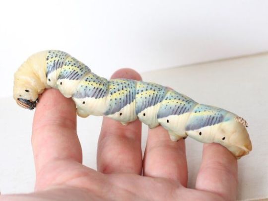 Archillect ID 408125