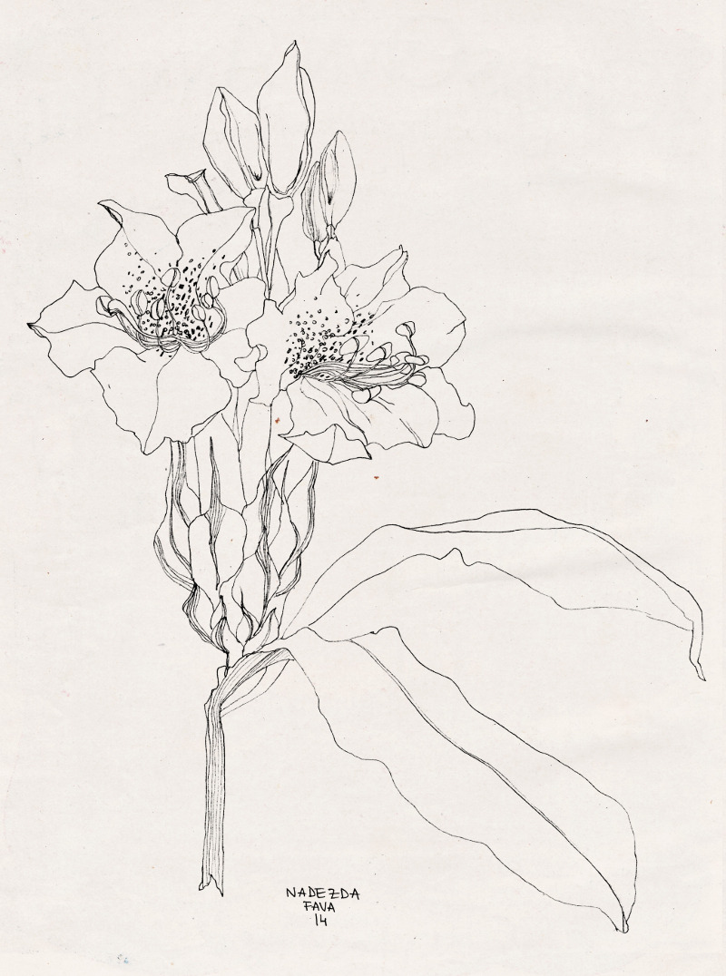 Archillect ID 408176