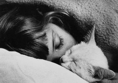 Archillect ID 408196