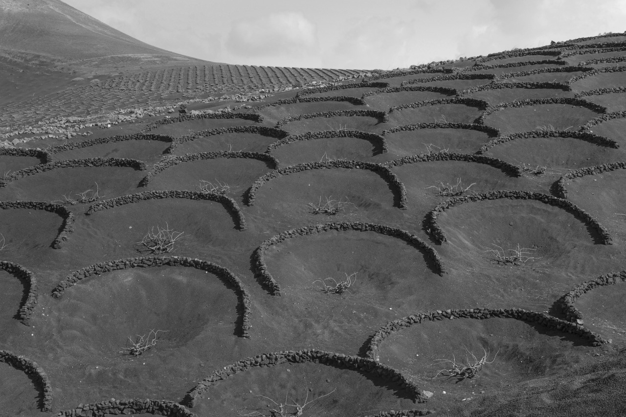 Archillect ID 408208