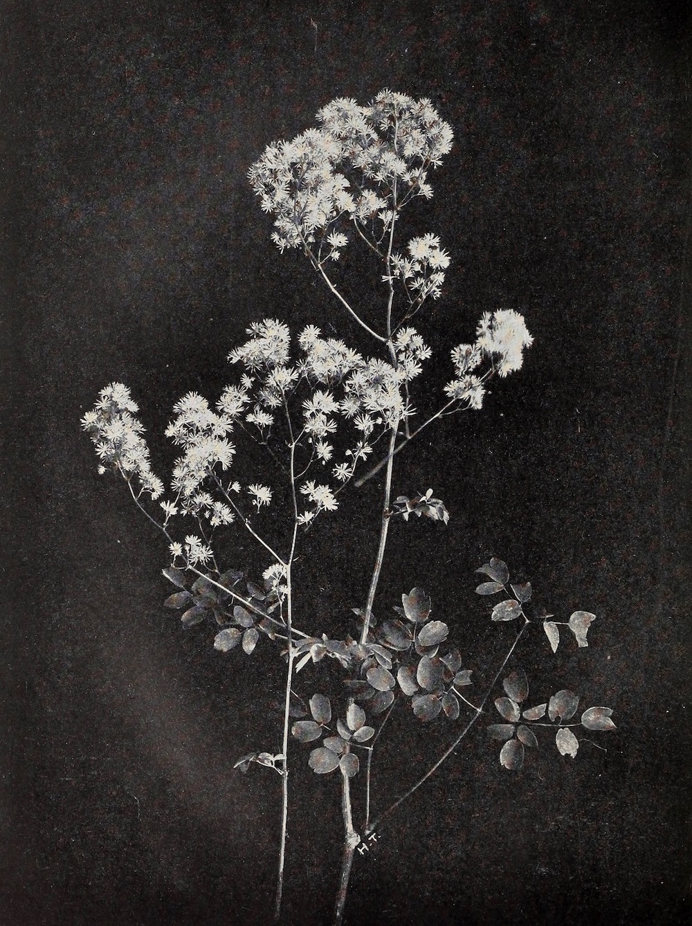 Archillect ID 408235