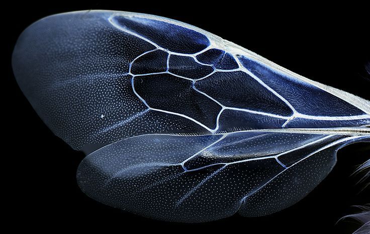 Archillect ID 408349