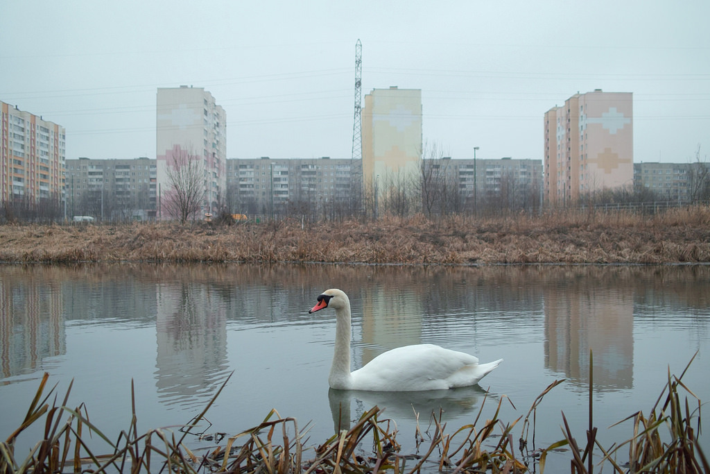 Archillect ID 408379