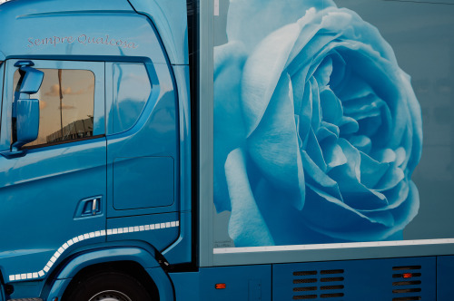 Archillect ID 408387