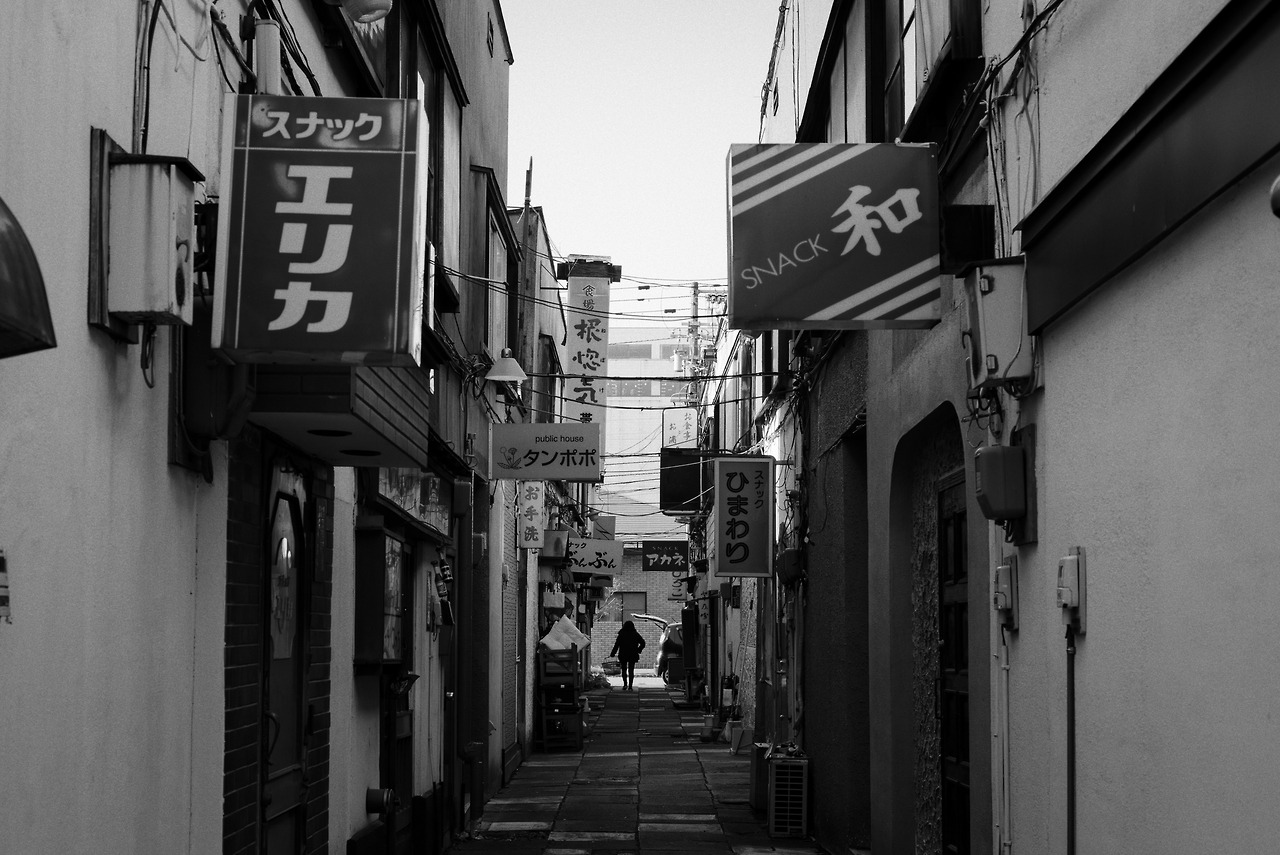 Archillect ID 408411