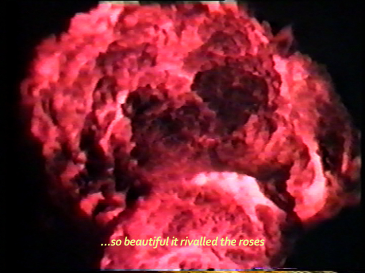 Archillect ID 408470