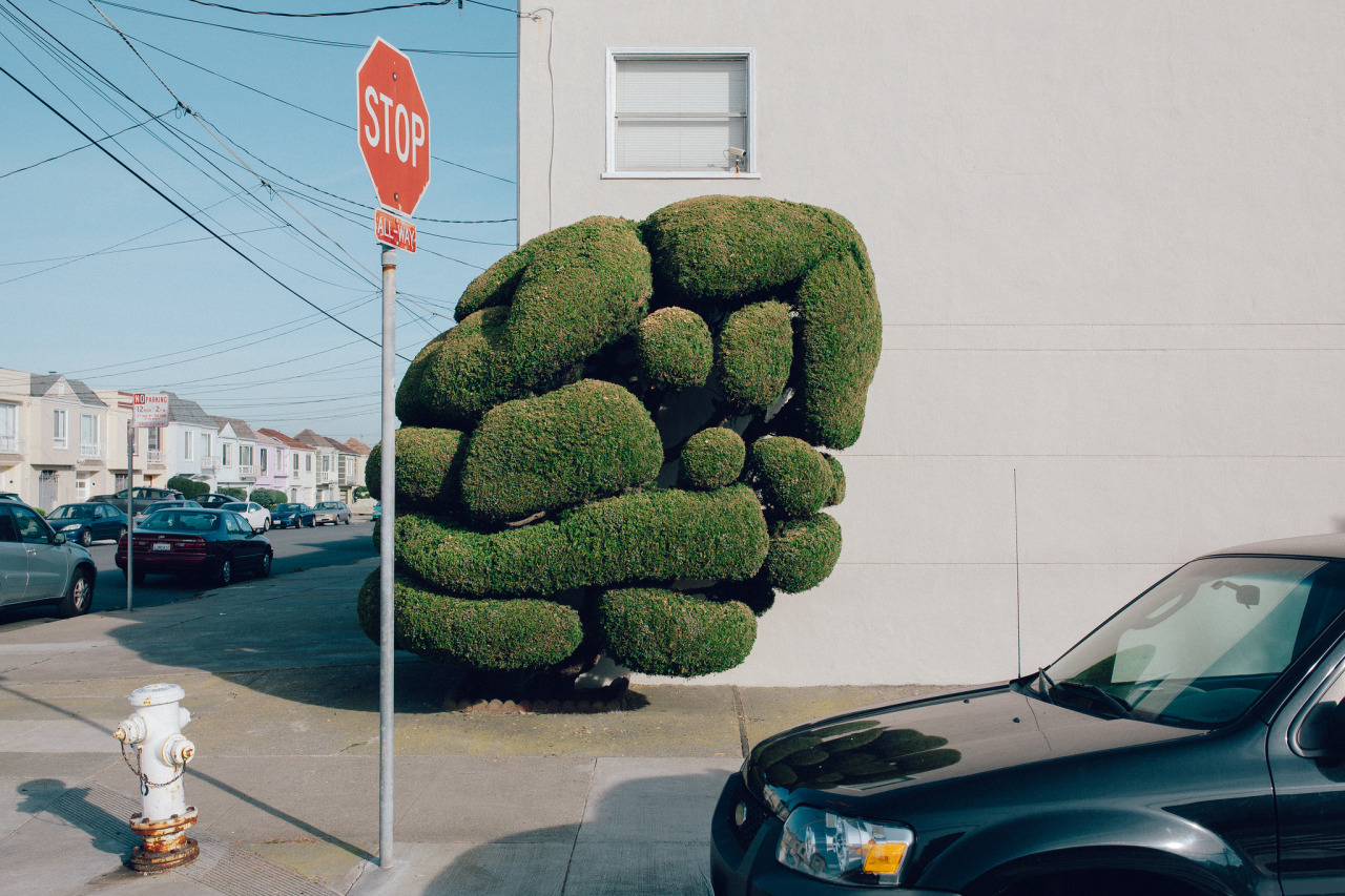 Archillect ID 408483