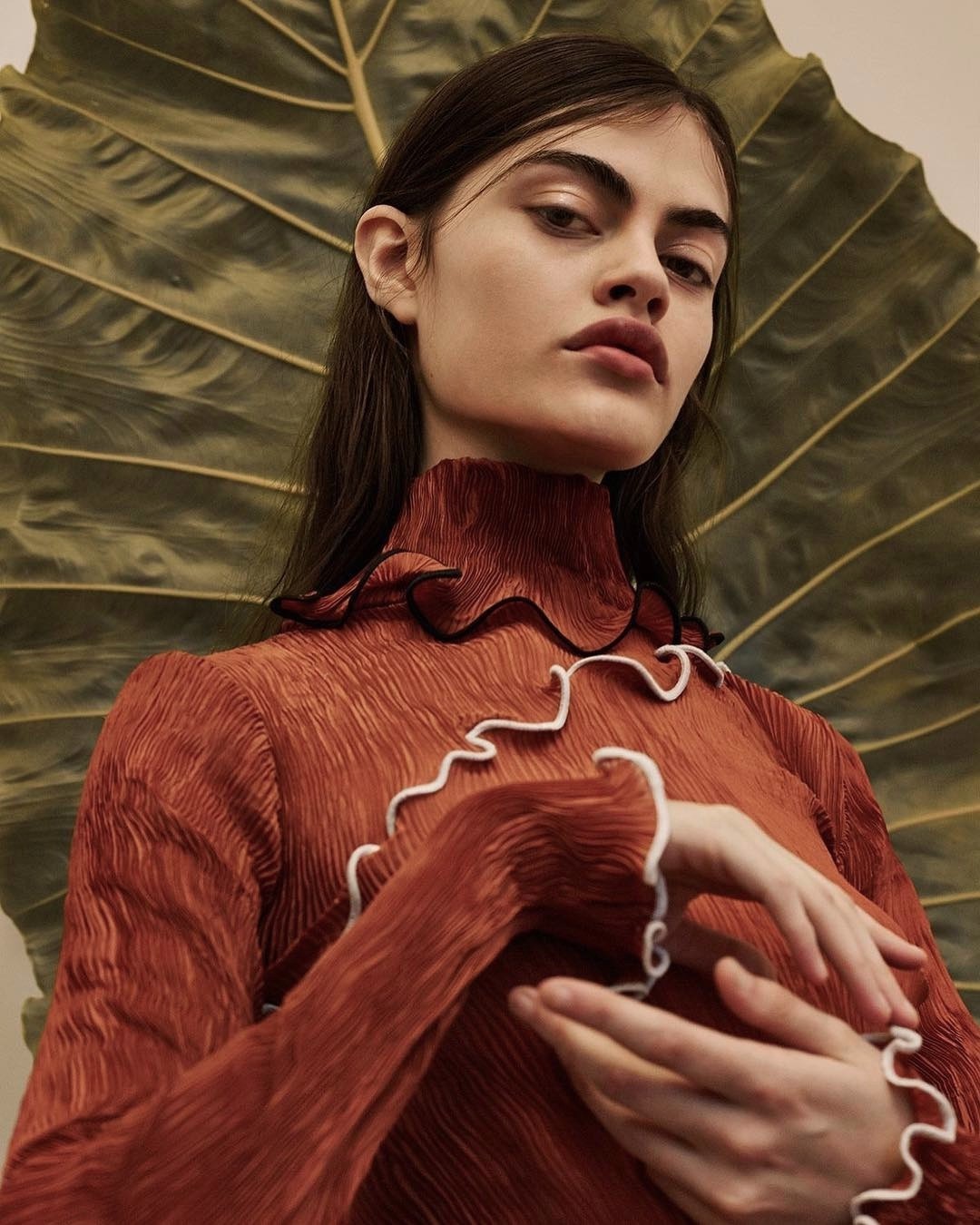 Archillect ID 408545