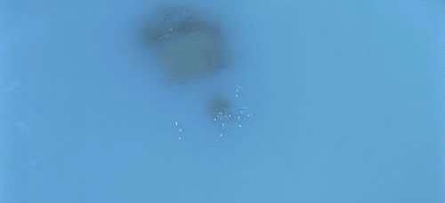 Archillect ID 408551